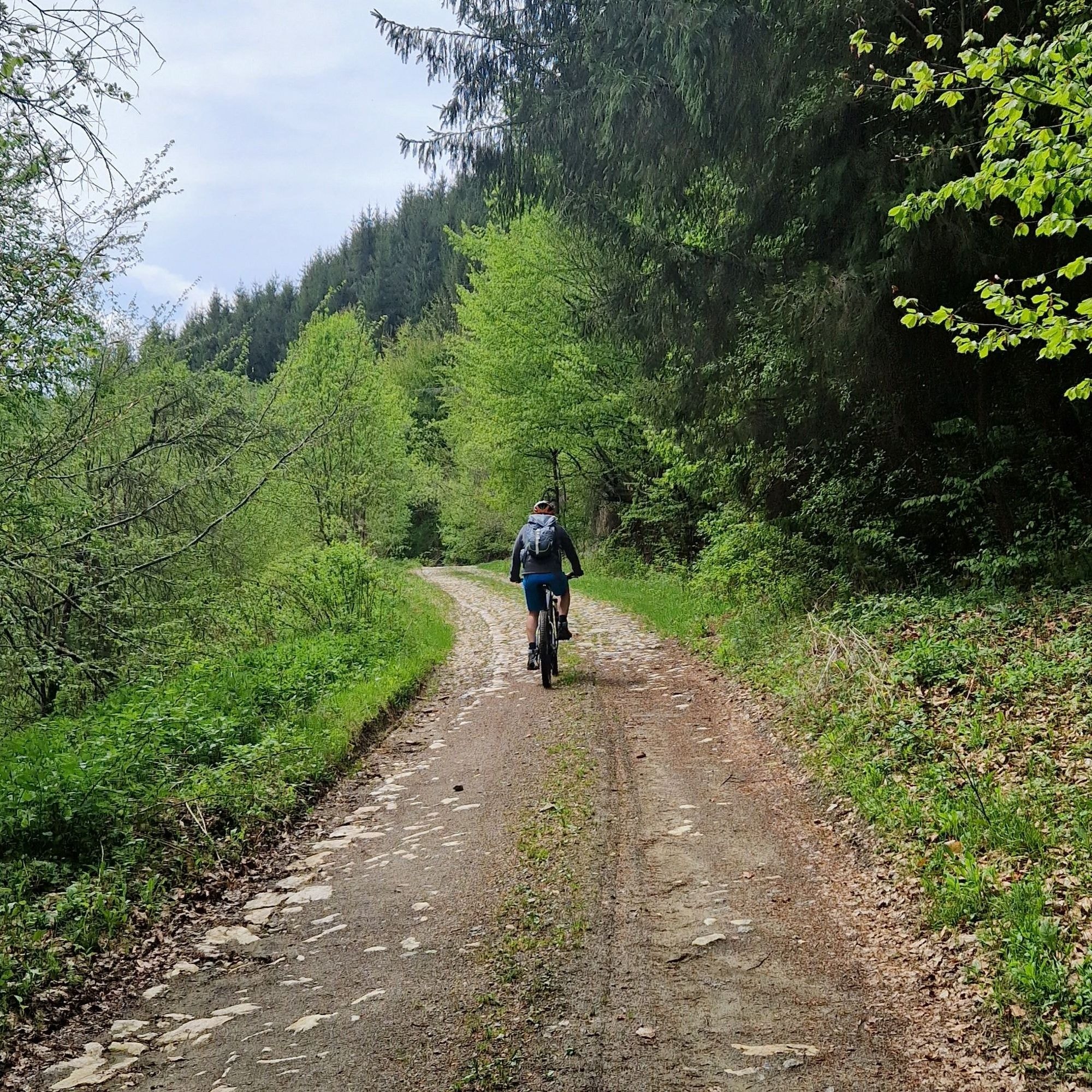 harz_biking_tourismus_natur