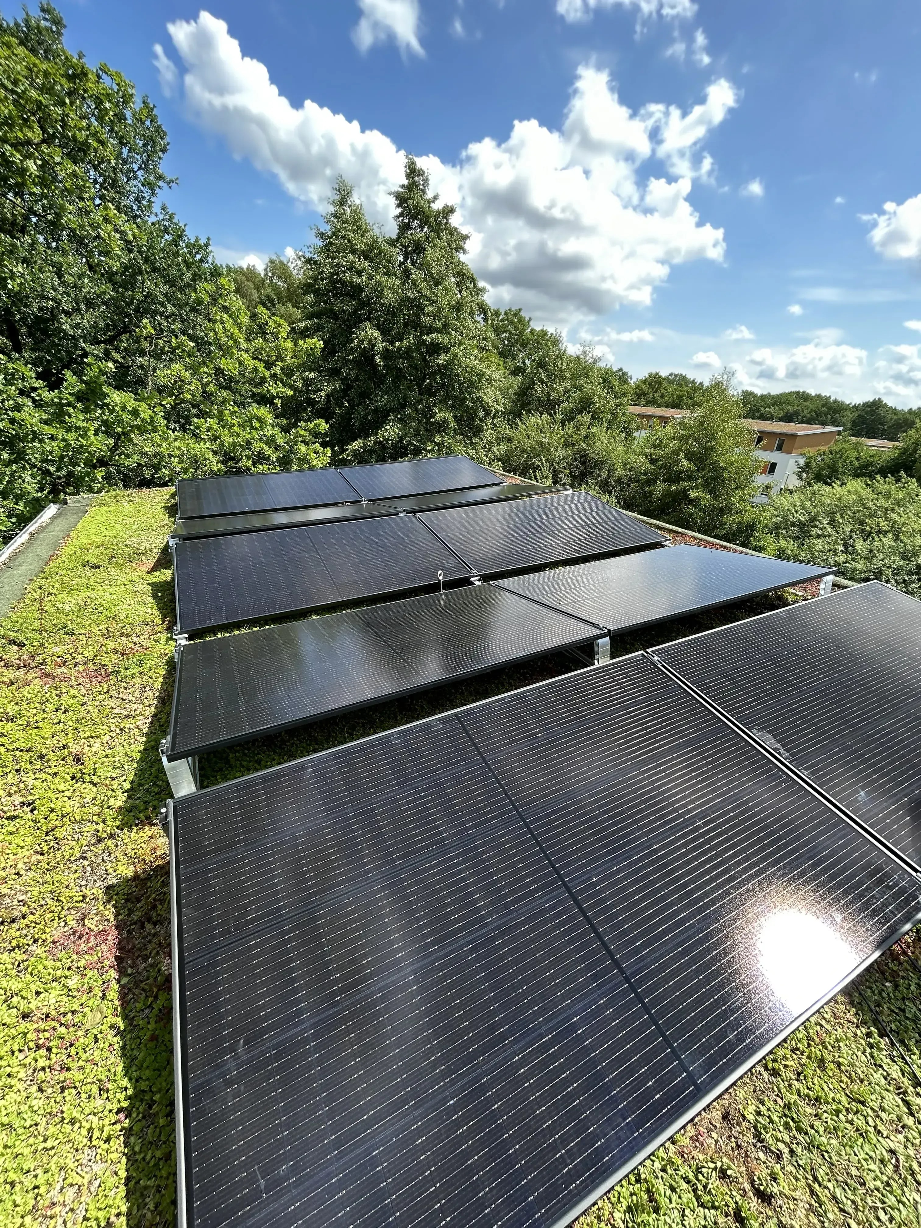 Photovoltaikanlage auf begruentem Dach mit Blick auf Waldrand und blauen Himmel in Clausthal-Zellerfeld